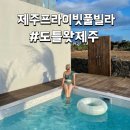 도틀왓 제주 이미지