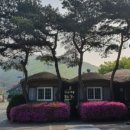 마장농장 이미지