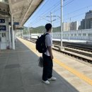 [경북 경주] 오지게 더웠던 우리의 경주여행 1일차 후기🚅💨💨