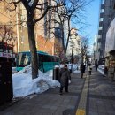 천운식당 | [겨울 홋카이도 여행] (2) 비에이 흰그림자투어 후기