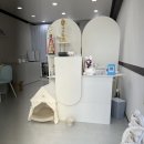 리미래쉬 | 인천 관교동 구월동 오마이래쉬 속눈썹 연장 후기