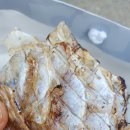 비둘기밧데리 이미지