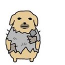 롱안부의권위를지키자