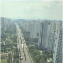 생명나무공인중개사사무소 이미지