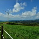 한일목장 이미지