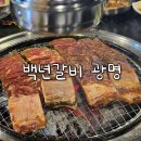 광명음식문화의거리 | 광명사거리역 음식문화거리 맛집 백년갈비 광명사거리역점