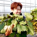 박상윤농장 농민신문