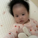 가드케이 충청 | [대충쓰는 육아일기] 23주차