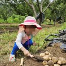 새소망어린이집 이미지