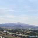 화산양돈 이미지