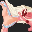 중앙보청기 이미지