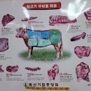 태백생고기 네이버블로그