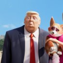 프린스 코기 이미지