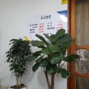 수니쌈밥