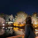 견생냥품무인24시경주황 | 2박3일 경주 여행 기록 2 ( 경주 어서어서, 황남옥수수, 영양숯불갈비, 다인매운등갈비찜, 동궁과월지...