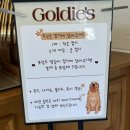 수원-1247 | 수원 행궁동 카페 추천@Goldie’s 내돈내산
