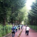 광명시립족구장 이미지