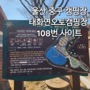 울산 캠핑장 중구 태화연오토캠핑장 108번 사이트 후기