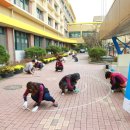 전주우림초등학교 이미지