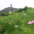 고흥우주발사전망대 이미지