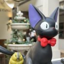 햄스터숄더 이미지