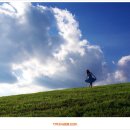 매화목장 이미지