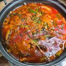 금강민물장어 이미지