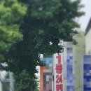 (주)로또투어 네이버블로그
