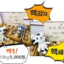 뚝딱