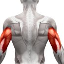 BODY MAKER 이미지