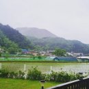 조이스타운 | 원주독채펜션 조이스타운 위치 영업시간 후기