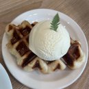 망고 애견 | 서산 애견동반카페 원트_내돈내산 후기(생망고빙수 강추!)