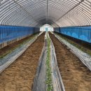 병이농장 이미지