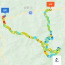 비단길