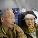 관덕정/오현단/삼성혈/항파두리항몽유적지/제주추사관/와흘본향당/너븐숭이4•3기념관/제주해녀박물관 이미지