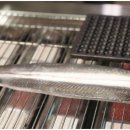 장수장어 이미지