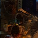 사지목 나무그늘 이미지