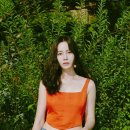 프롬 이미지