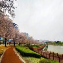 이충중학교 | 평택 부락산둘레길