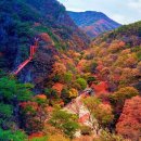 강천산 가을 단풍=10월 하순부터 11월 중순까지 이미지