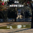 대정농업협동조합 | 마지막날 제주여행 5일차 (하나로마트 대정농협, 187sentiment, 유지커피웍스, 길갈팜랜드, 포크80...