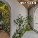 디토키즈풀빌라 이미지