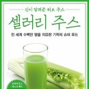 셀러리 주스의 놀라운 효능 이미지