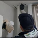 부산방역 노래기 후기 / 장마철에 베란다 노래기 떼로 나와서 진짜 기절할뻔