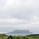 오션 아레나 | 제주 실내관광지 추천 아쿠아플라넷 할인 입장권 오션아레나 공연 후기