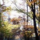 인천 신포역 ㅡ 신성루 ㅡ 신포시장 이미지