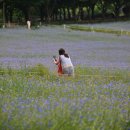 도실목장 이미지