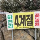 하천리-4 이미지