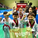 경희대 석사 세심 태권도 이미지
