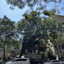 카페(cafe)모퉁이 | [하노이] 여행 2일차 (호아로 수용소/하노이 기찻길/맥주거리/카페)